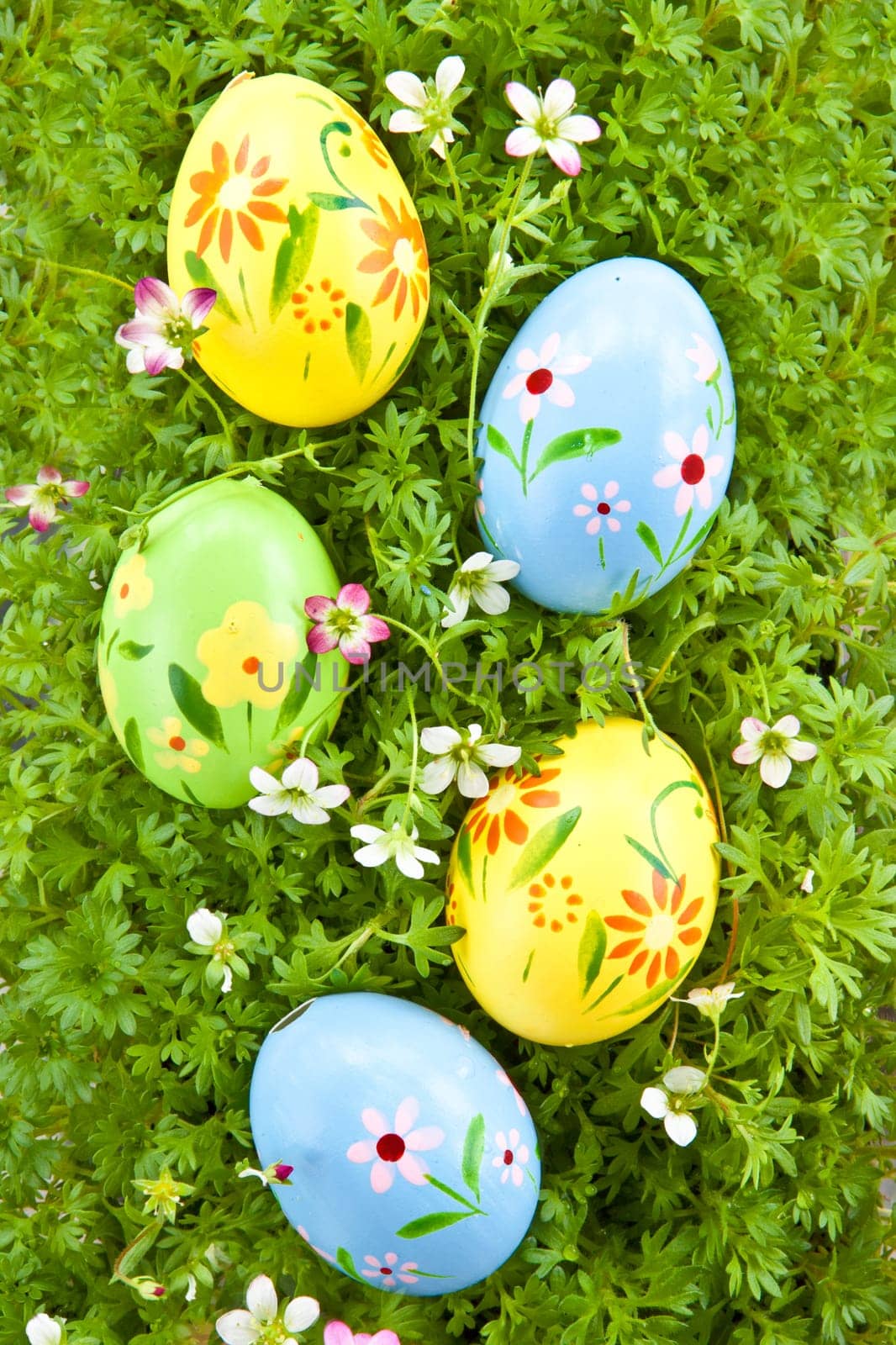 Colorful Easter eggs on grass with small blueten,detail