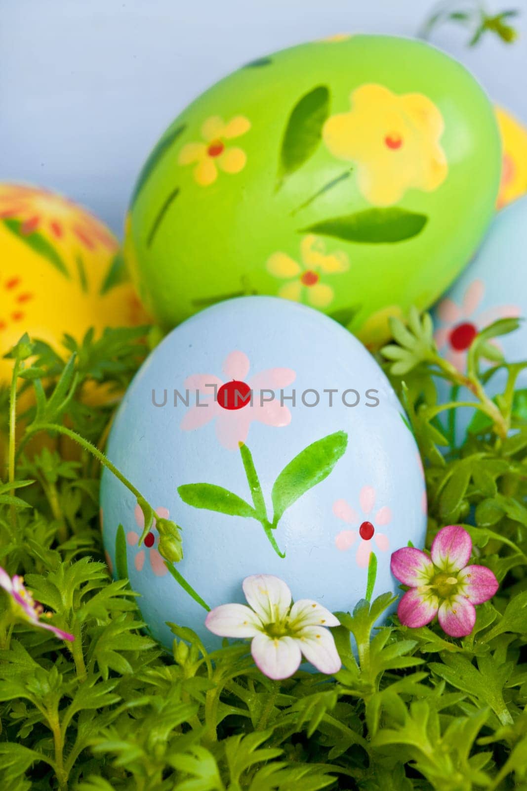 Colorful Easter eggs on grass with small blueten,detail