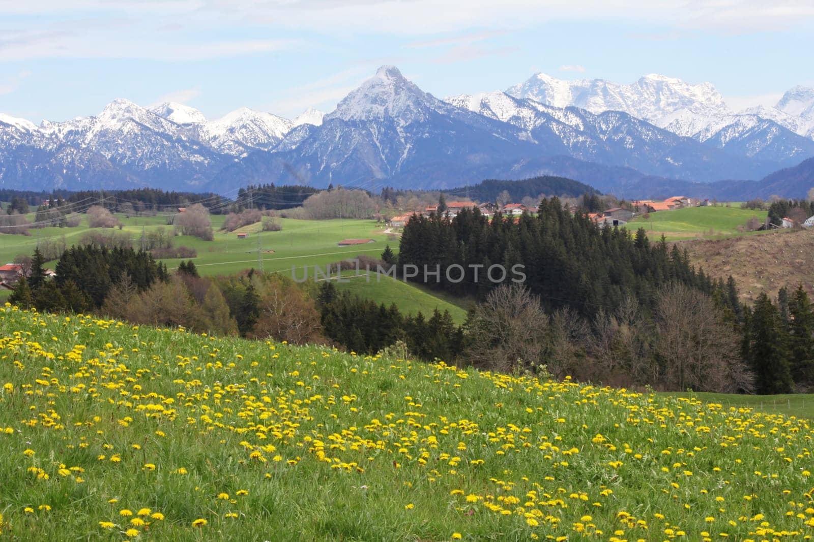 Bavaria in spring