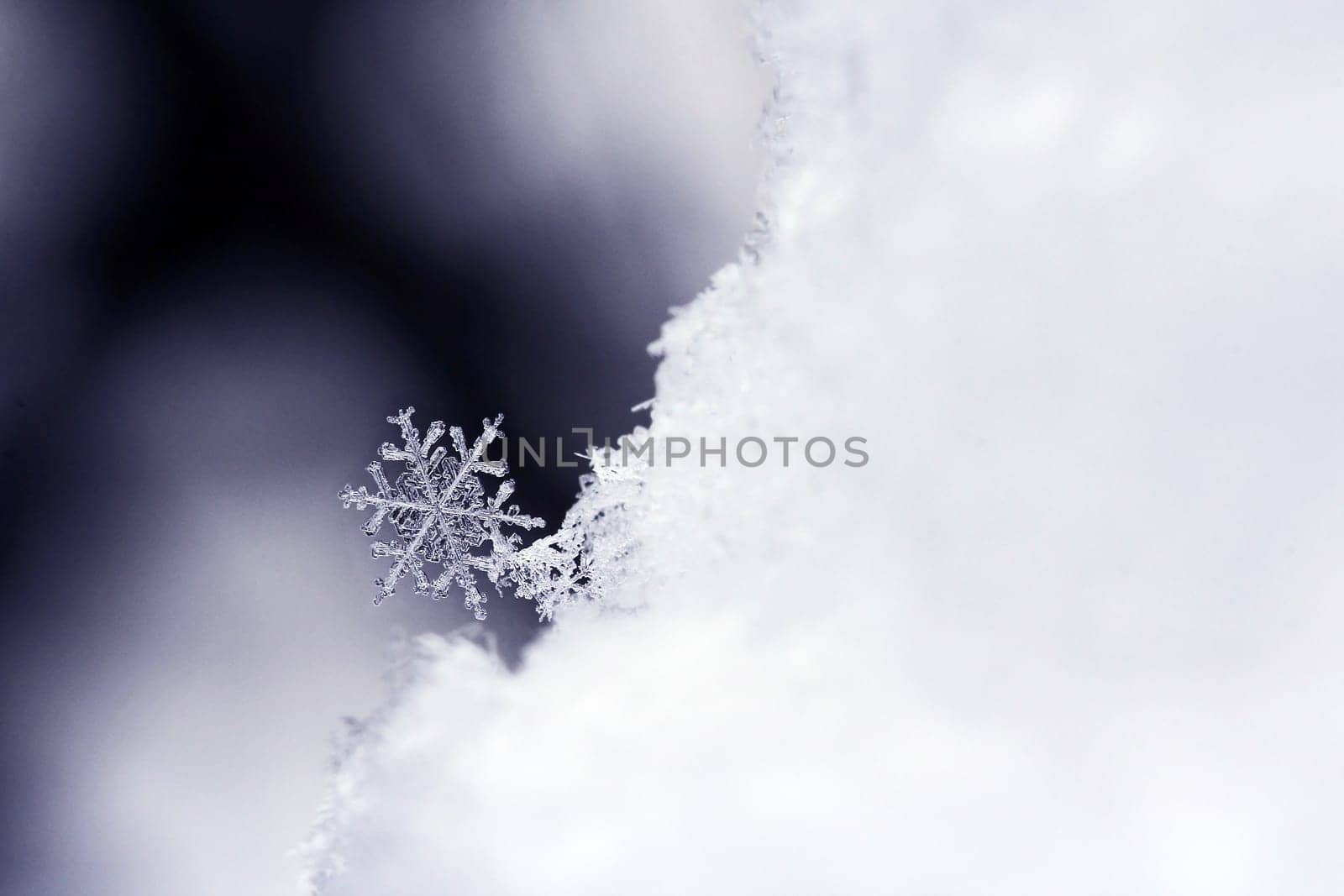The Snow Star