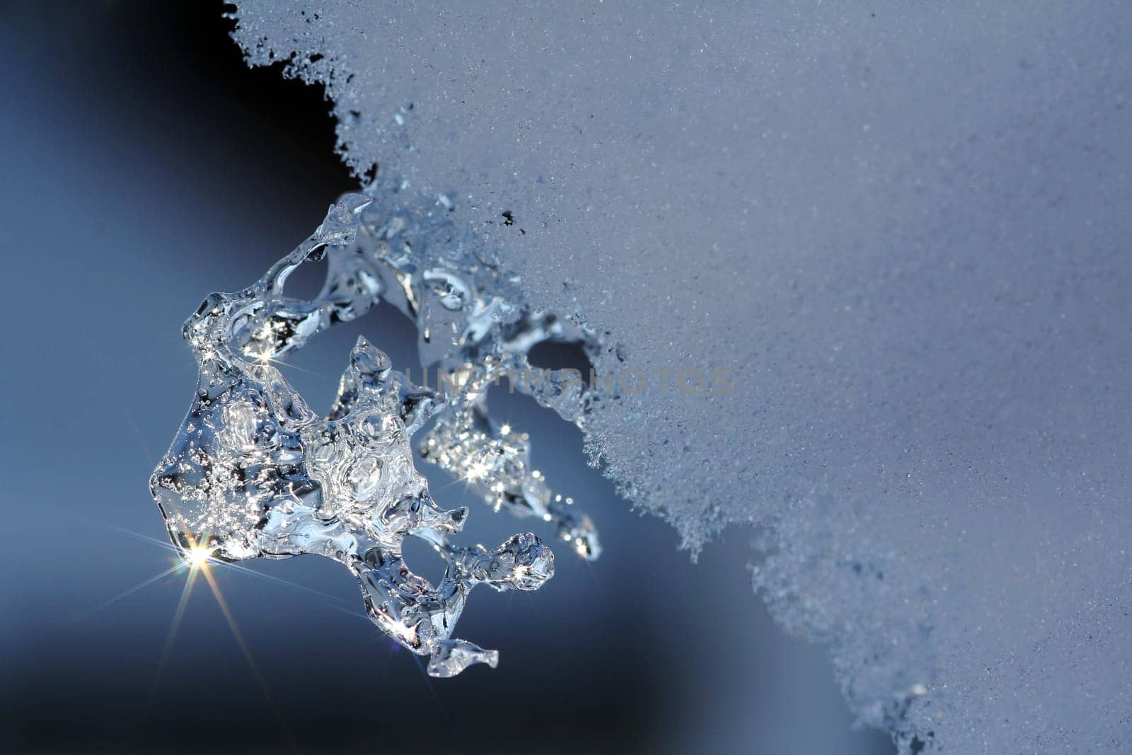 The Ice Sculpture