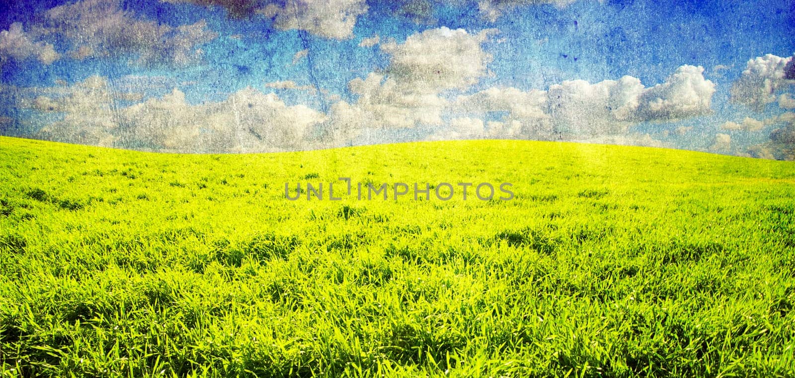 grunge image of green field and blue sky