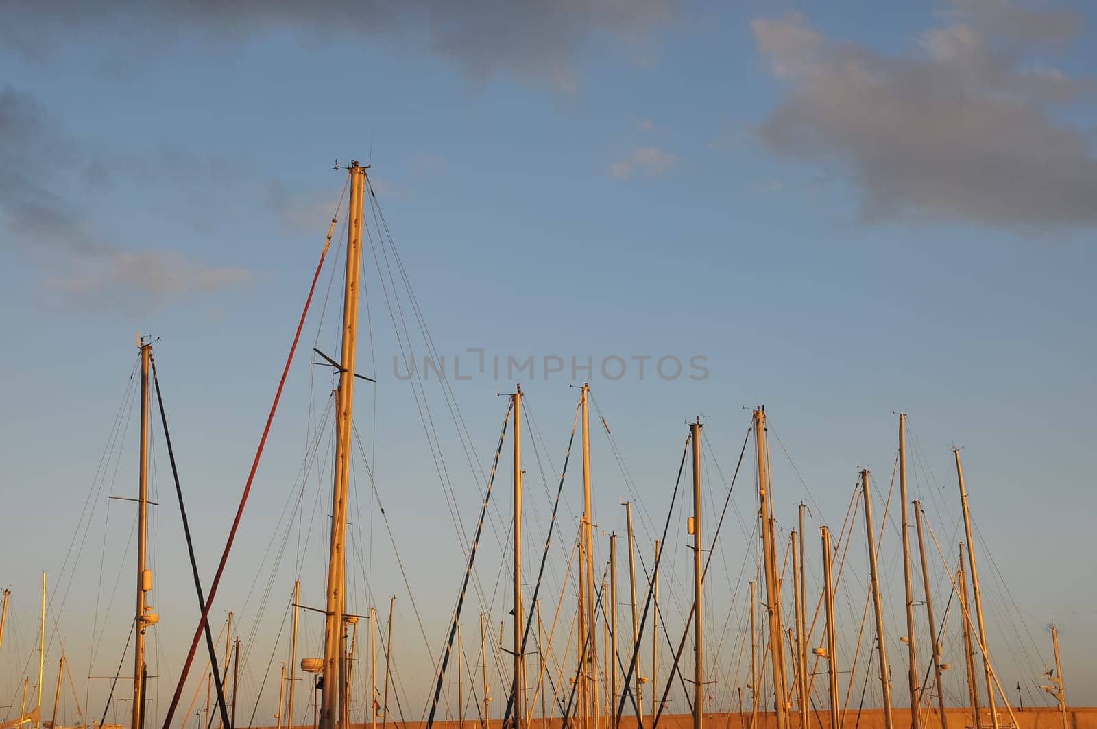 Sail Boats Masts In Port With Sunset Background.