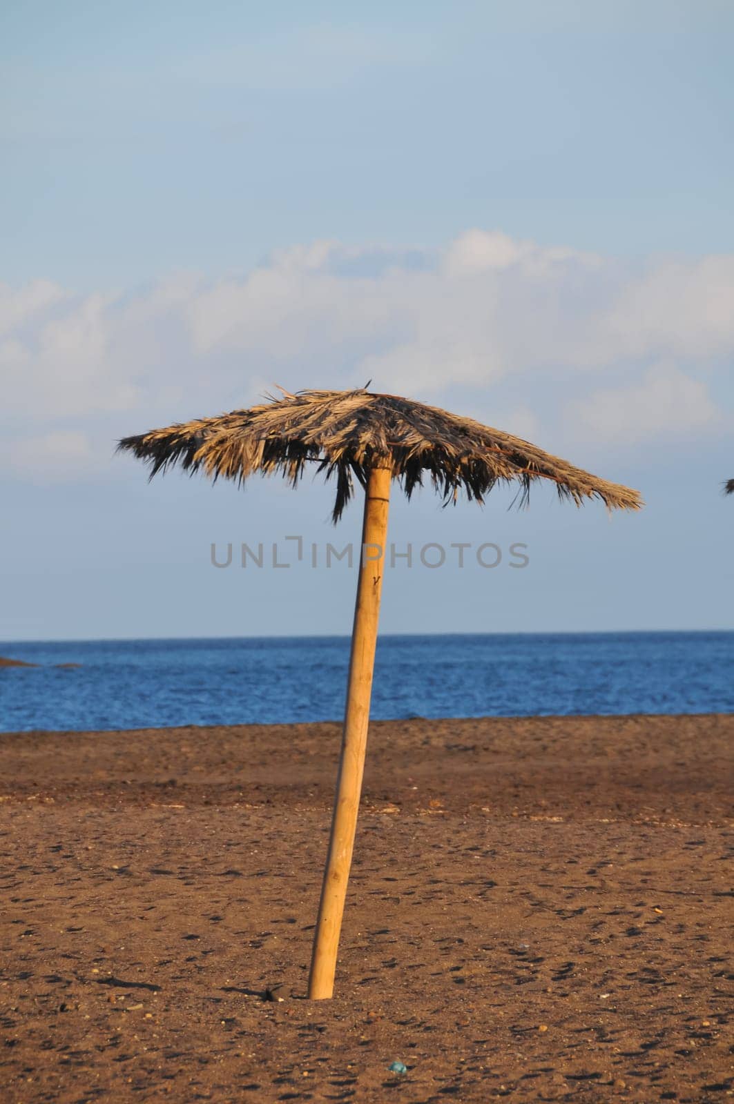 Beach Umbrella in Tenerife Canary Islands Spain Europe