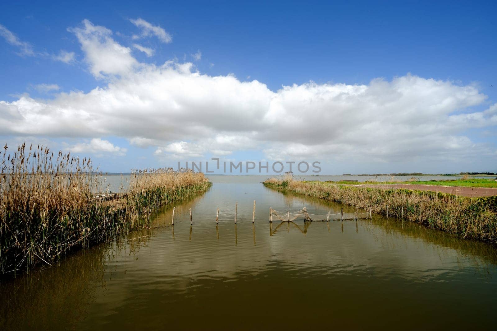 The pond of Cabras is one of the most important wetlands of Sardinia. Located north of the Gulf of Oristano. Form a wetland ecosystem among the largest in Europe and protected by the Ramsar Convention.