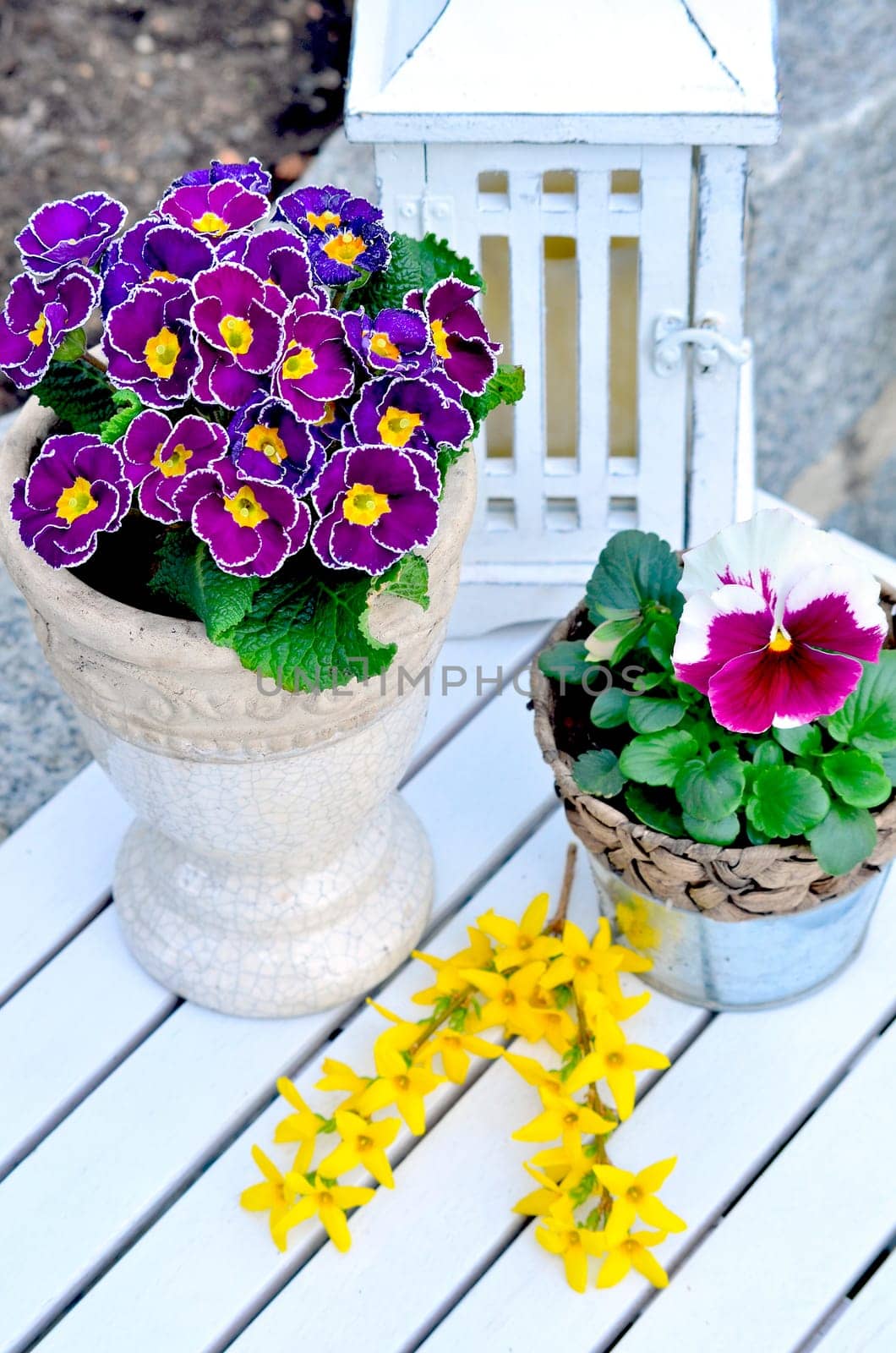 Garden spring shabby chic