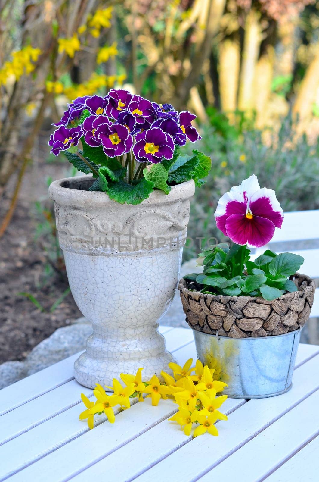 Garden spring shabby chic