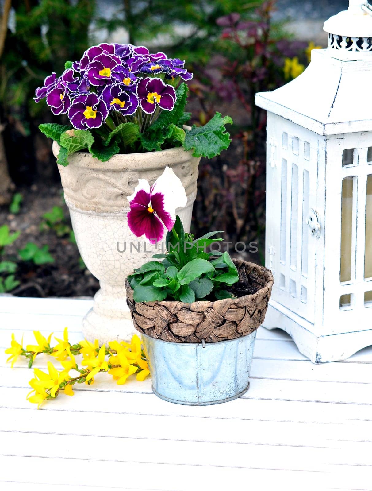 Garden spring shabby chic