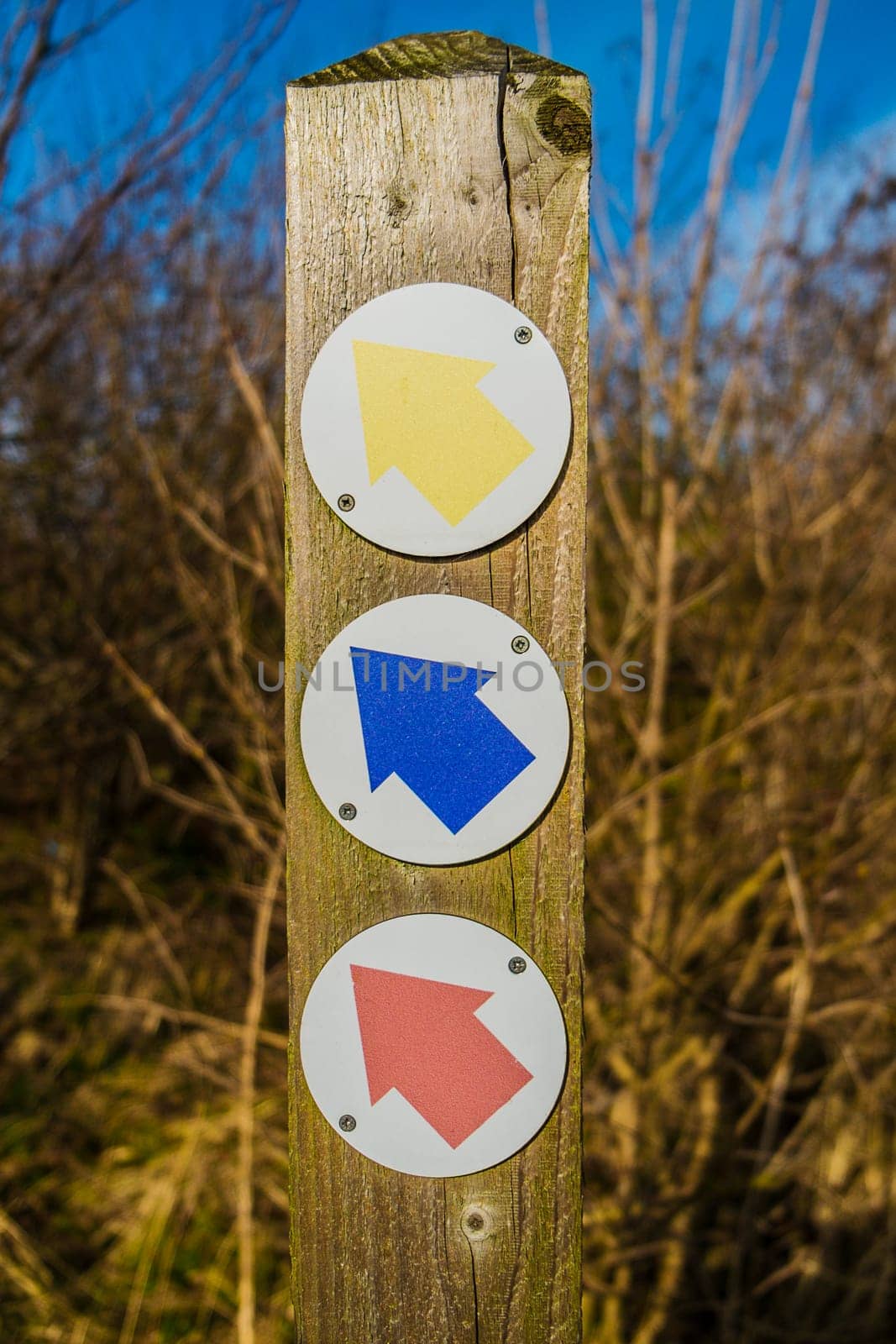 three coloured arrows giving directions on wood post