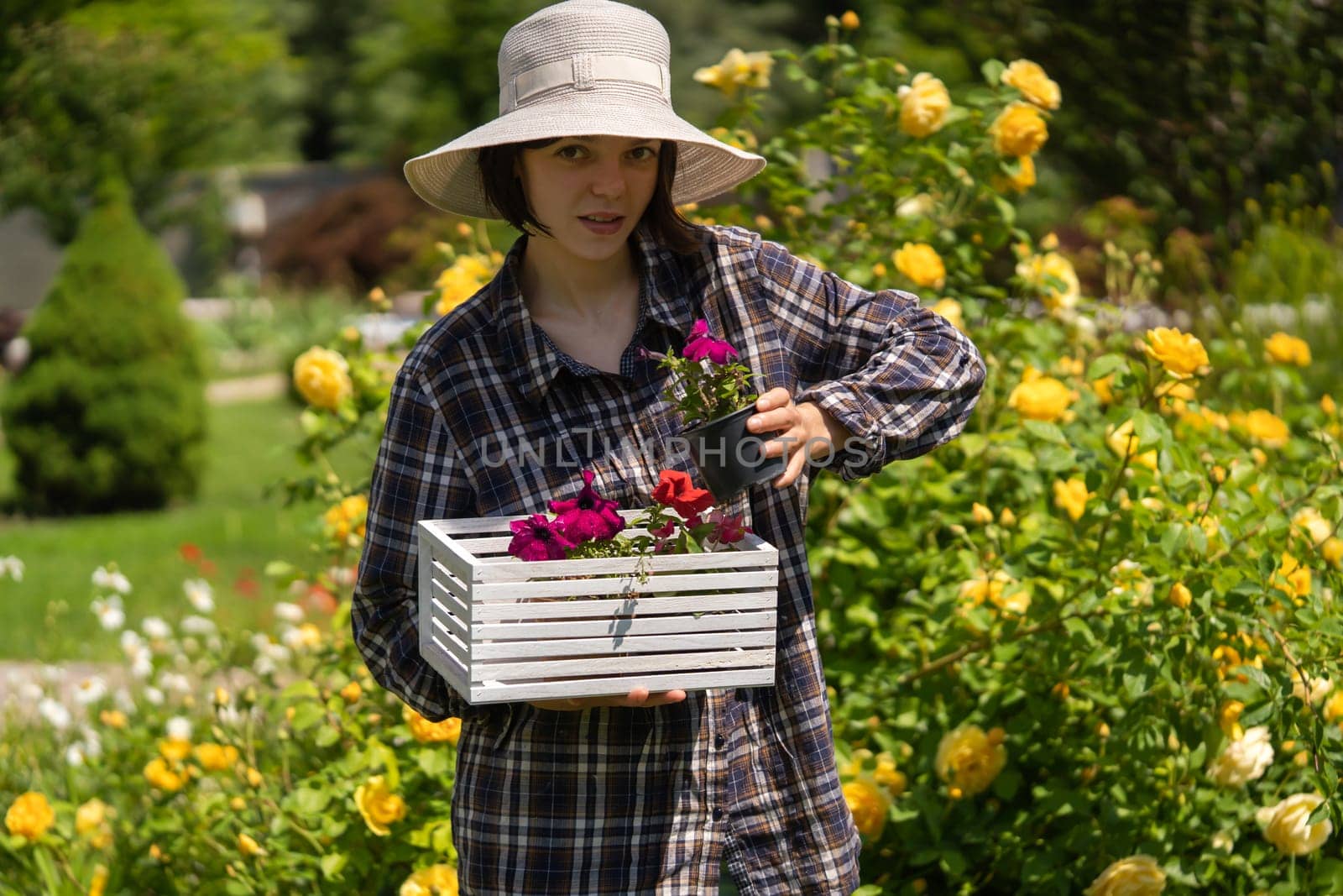 A young girl in a hat is holding a flower seedlings in a pot in a white wooden box. A professional gardener is going to plant petunia hybrida seedlings.