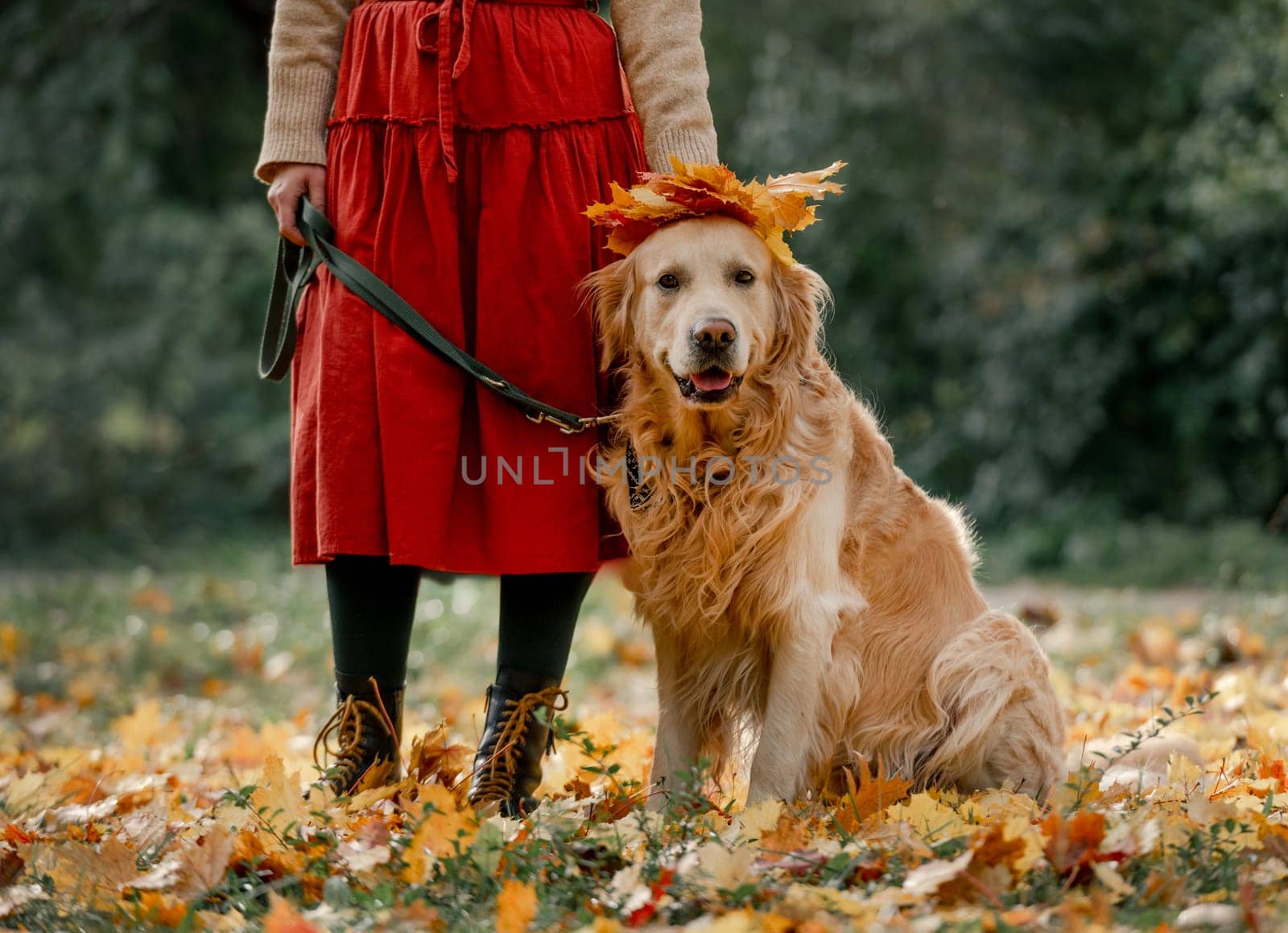 Preteen girl with golden retriever dog by tan4ikk1