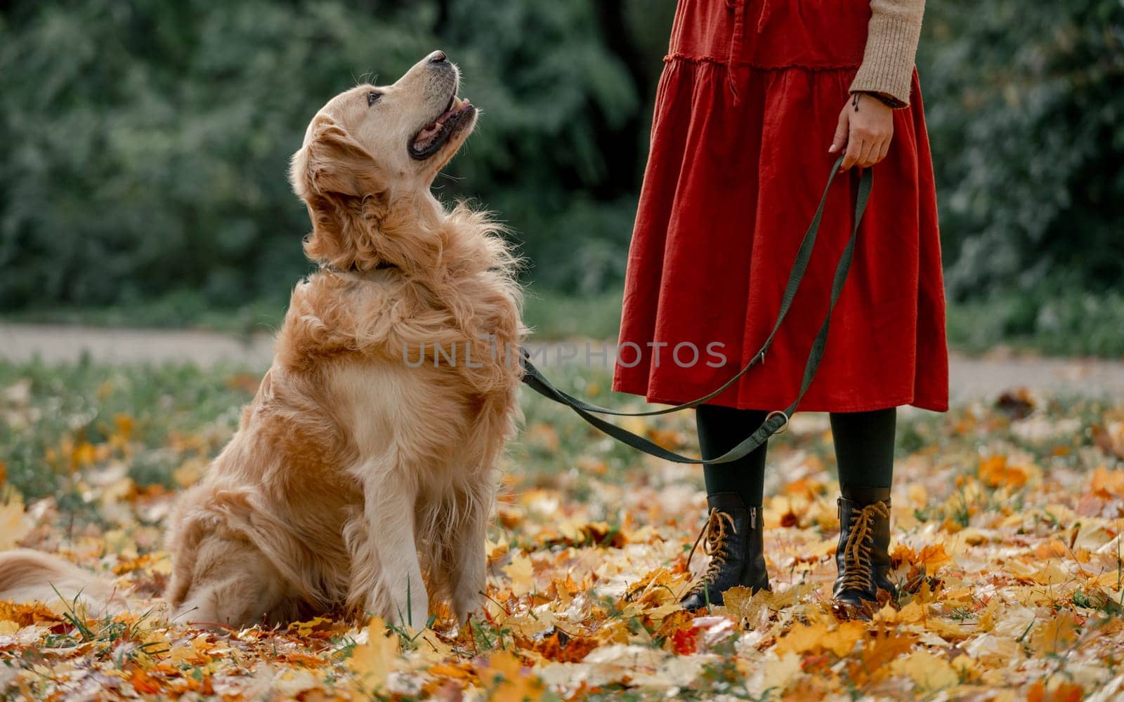 Young woman in autumn park with her golden retriever dog