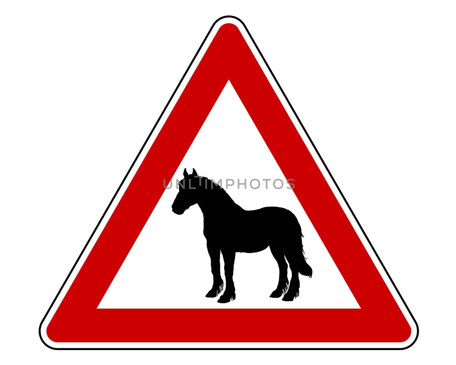 Attention horse