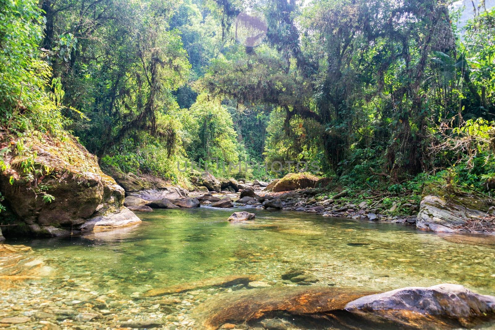 River running through the jungle in the Sierra Nevada de Santa Marta in Colombia