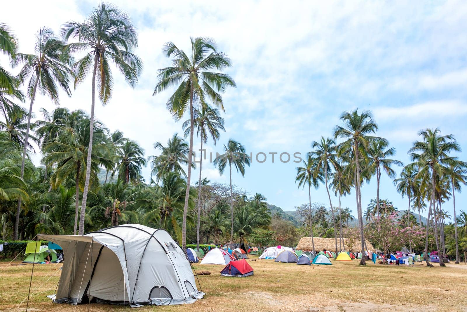 Campsite in a grove of palm trees in Tayrona National Park near Santa Marta, Colombia