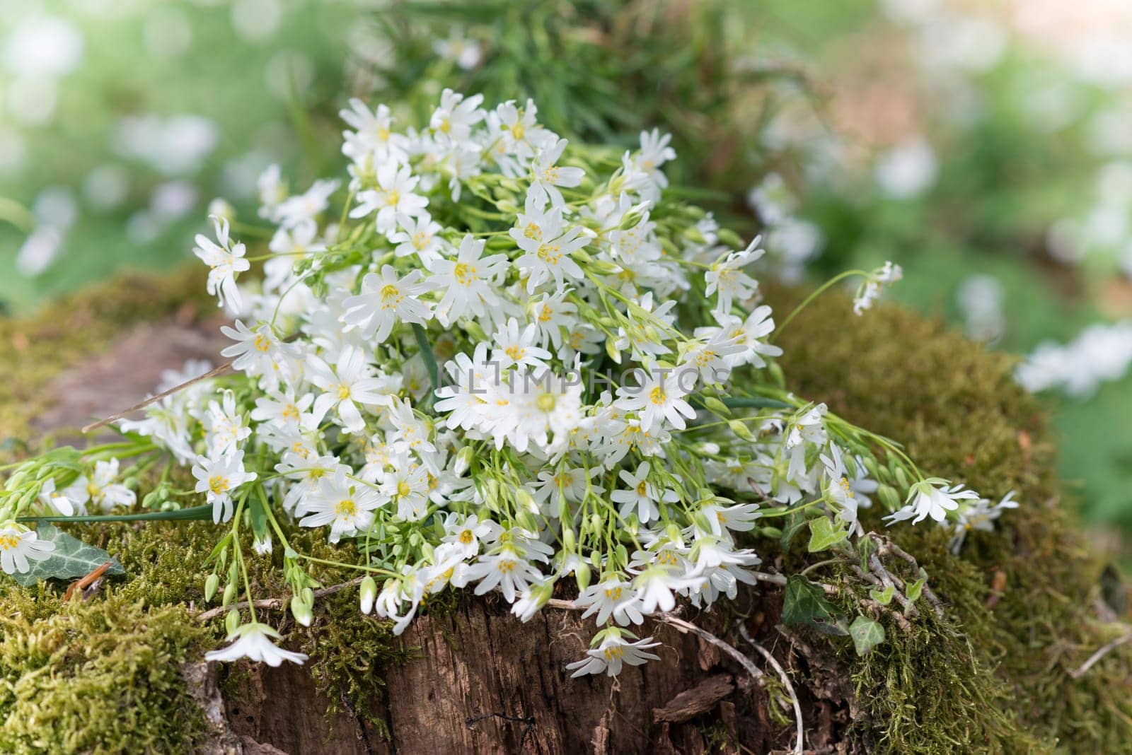 Wildflower bouquet on moss trunk