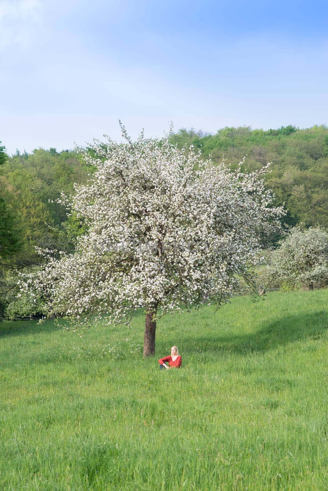 Woman on a spring meadow