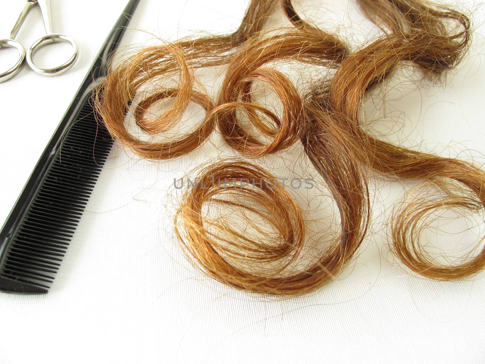 Maroon curls,scissors and comb
