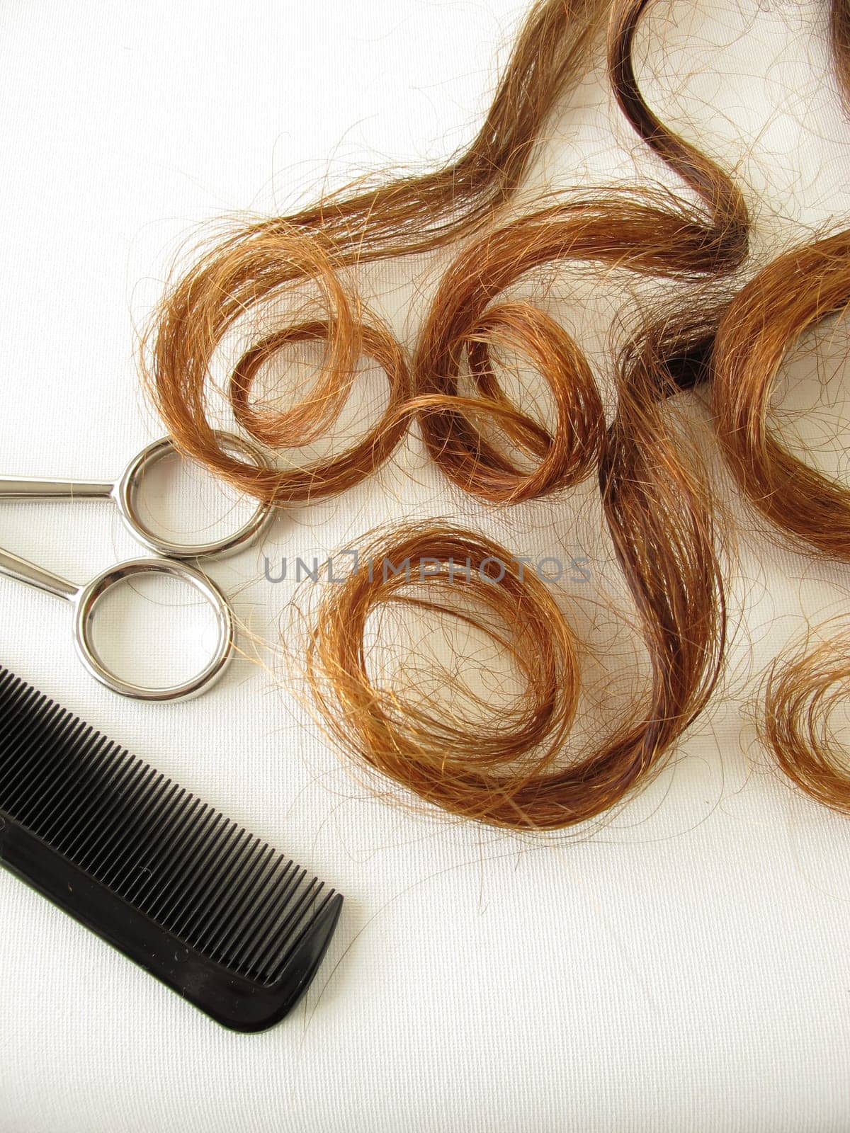 Maroon curls,scissors and comb