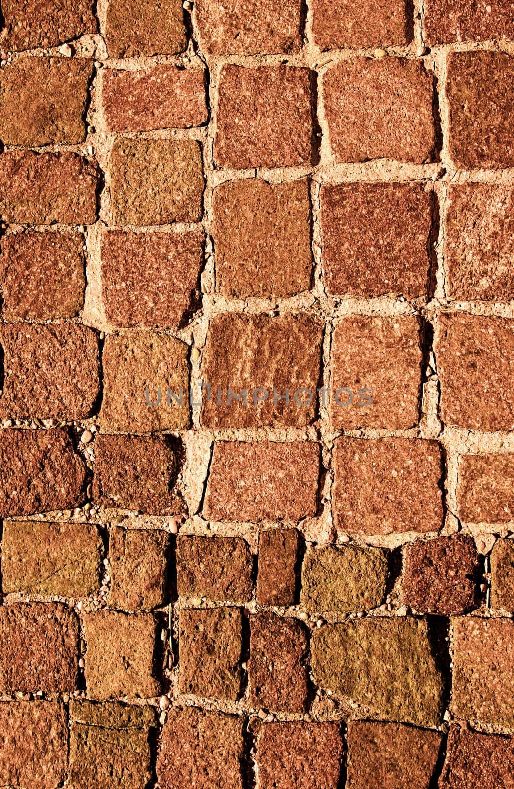 Rock wall, close up.Texture background. Great details.