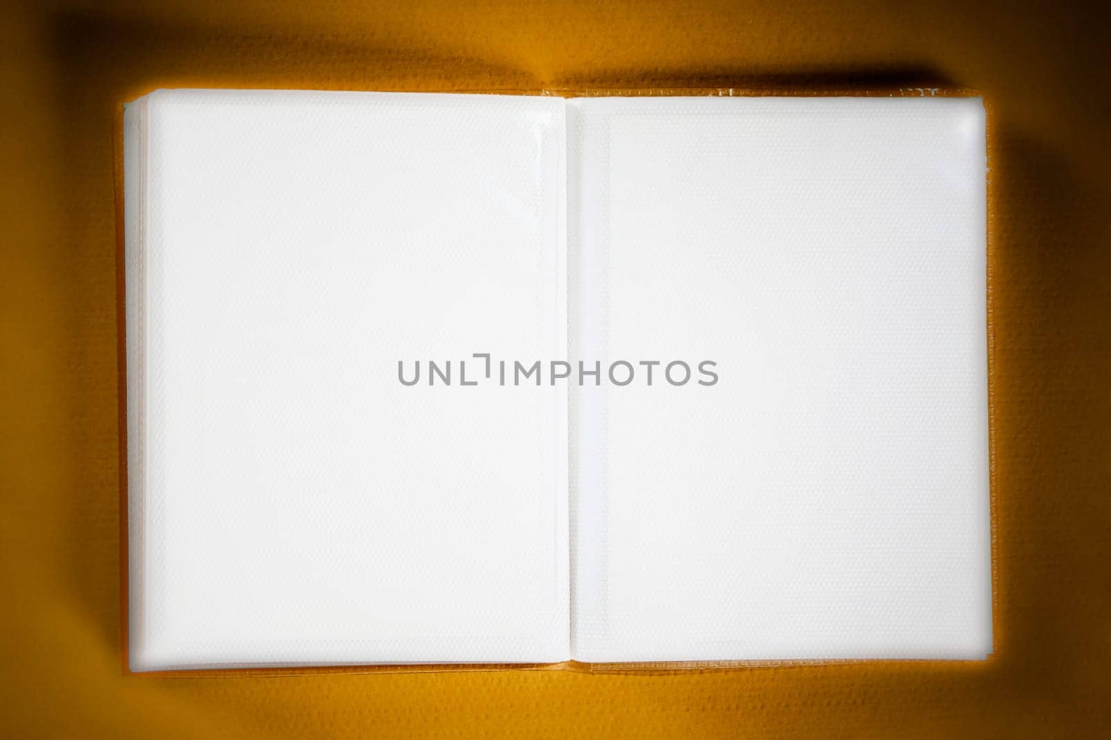 Photo Album with copy space. Great details!