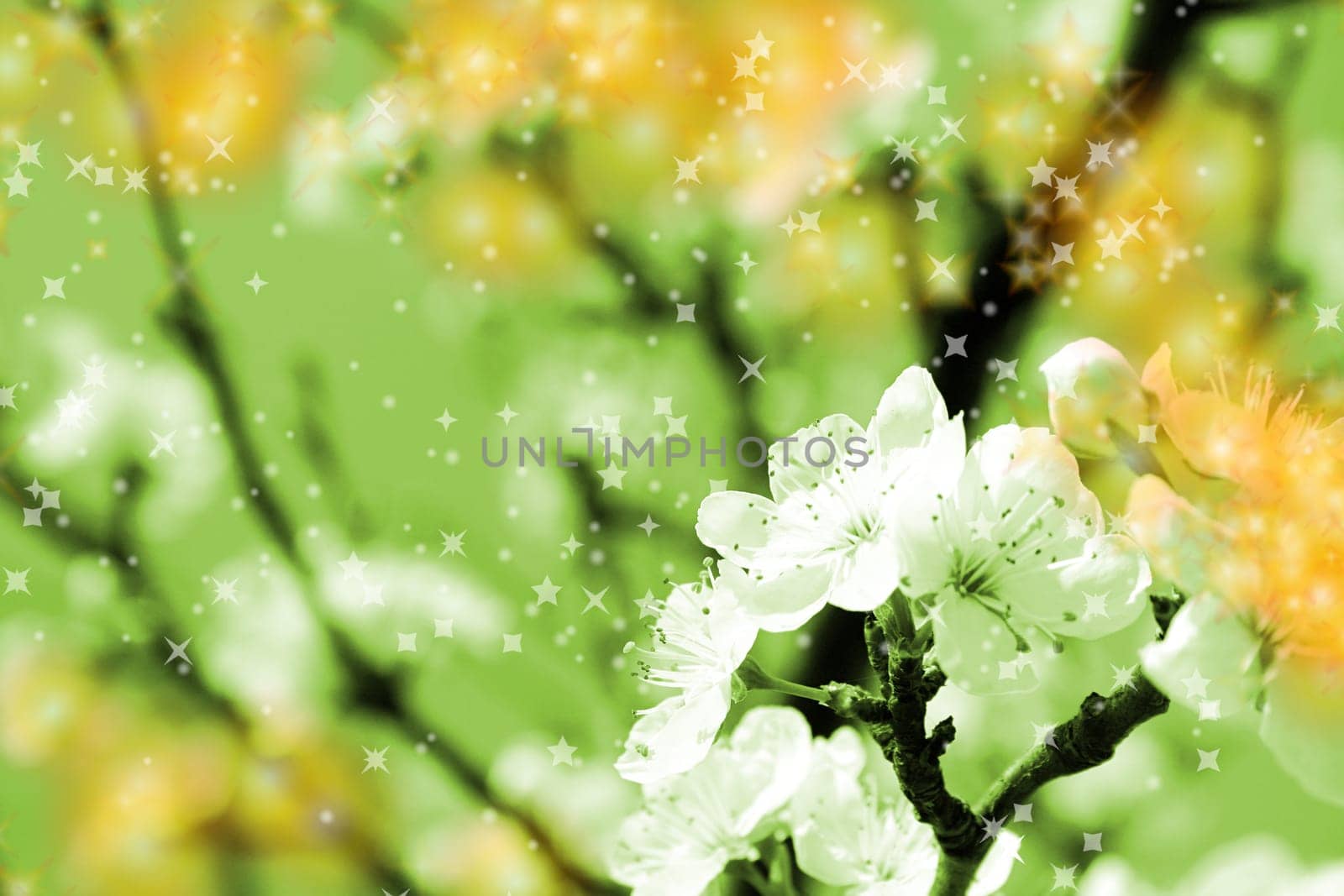 Close-up image of a white blossom over the blue sky