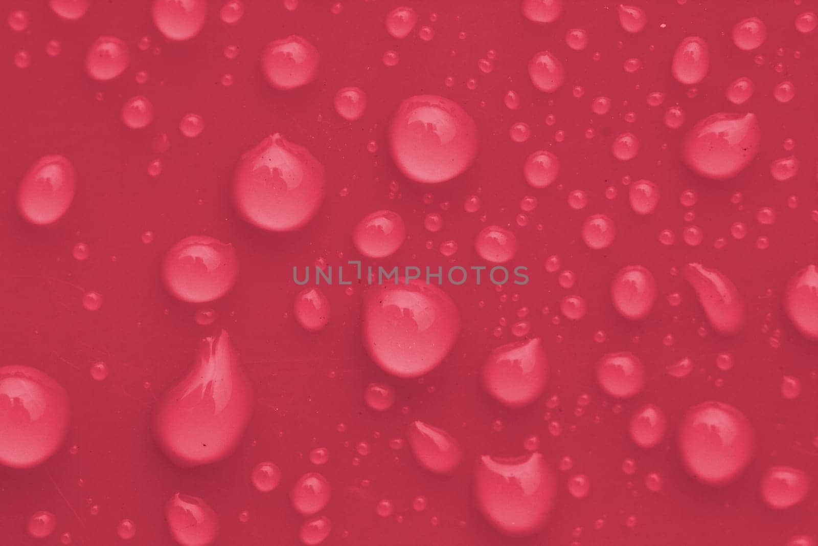 Macro image of pink water drops