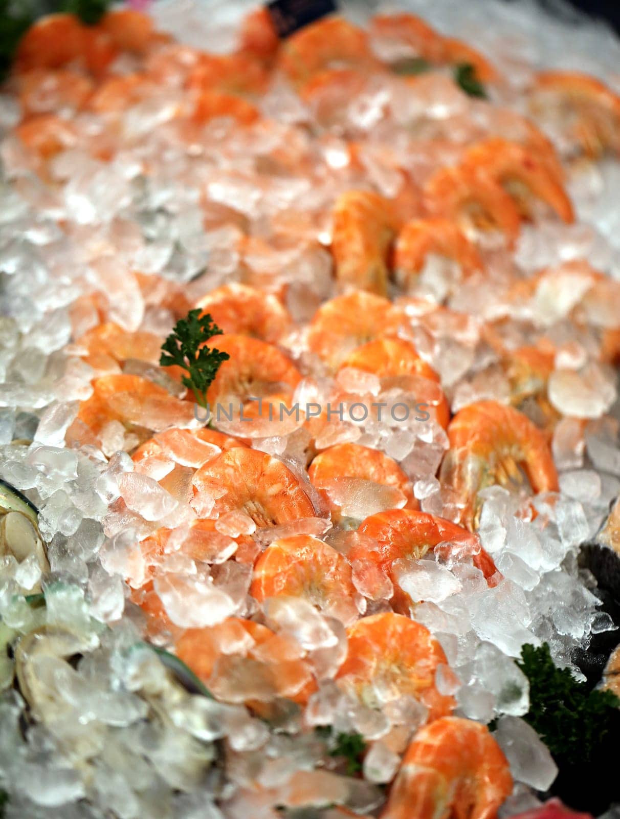 shrimp on ice
