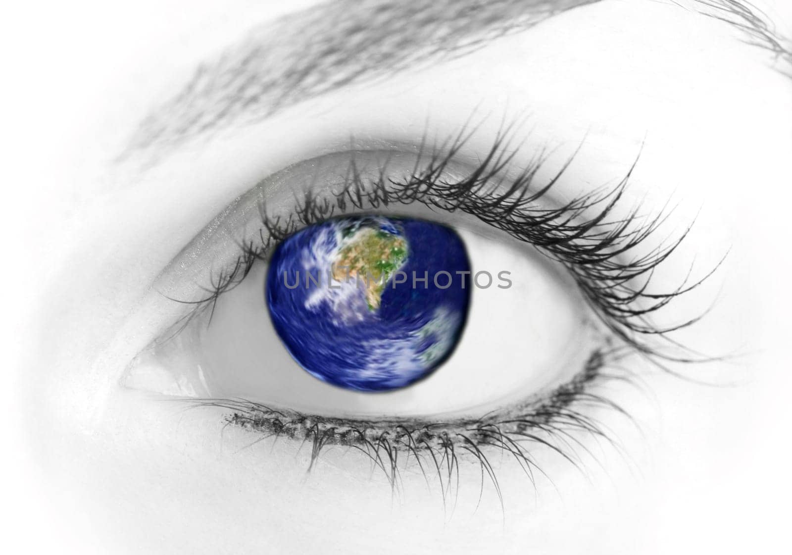Beauty big eye. Macro. Isolated on white.
