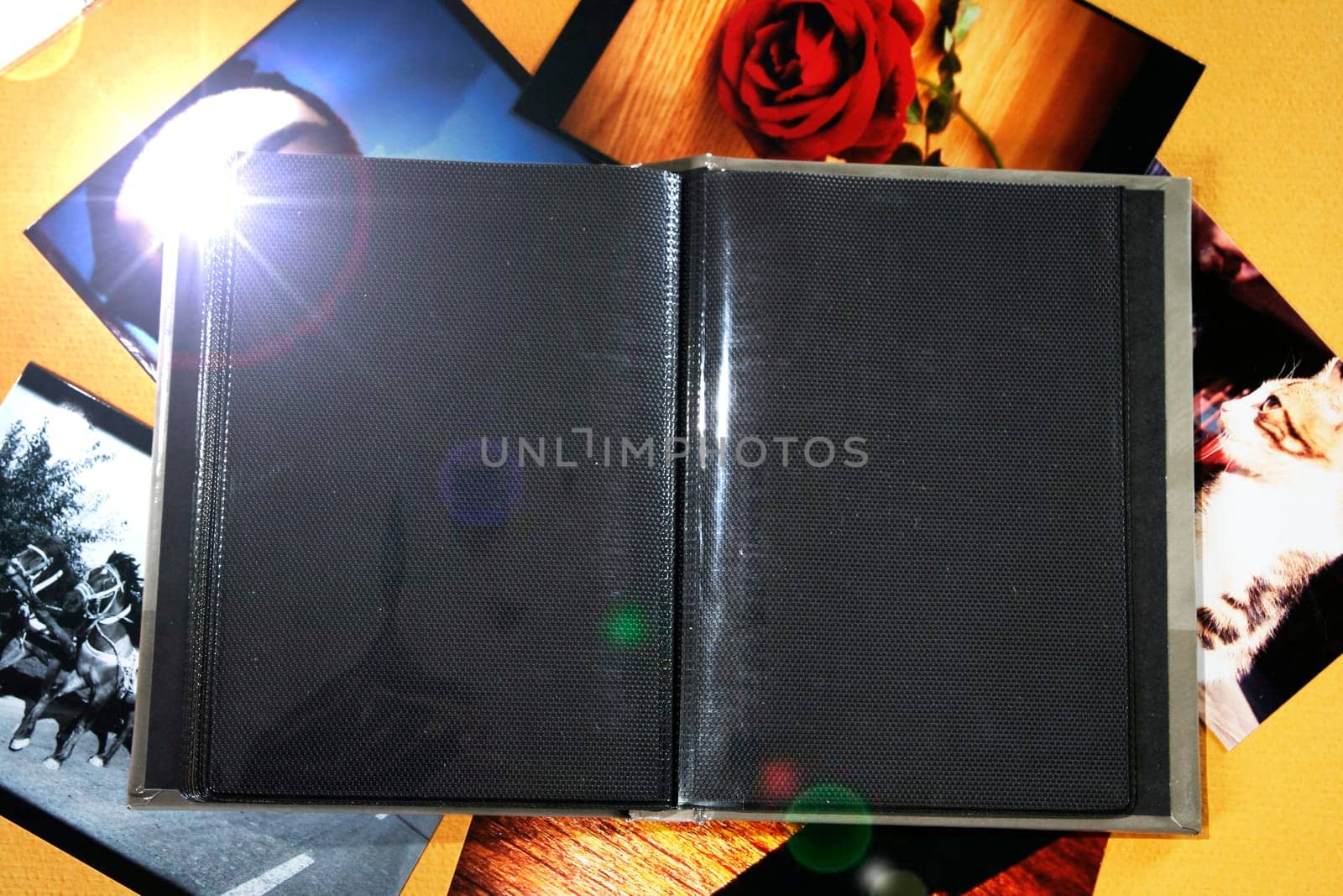 Opened empty photo album with copy space.