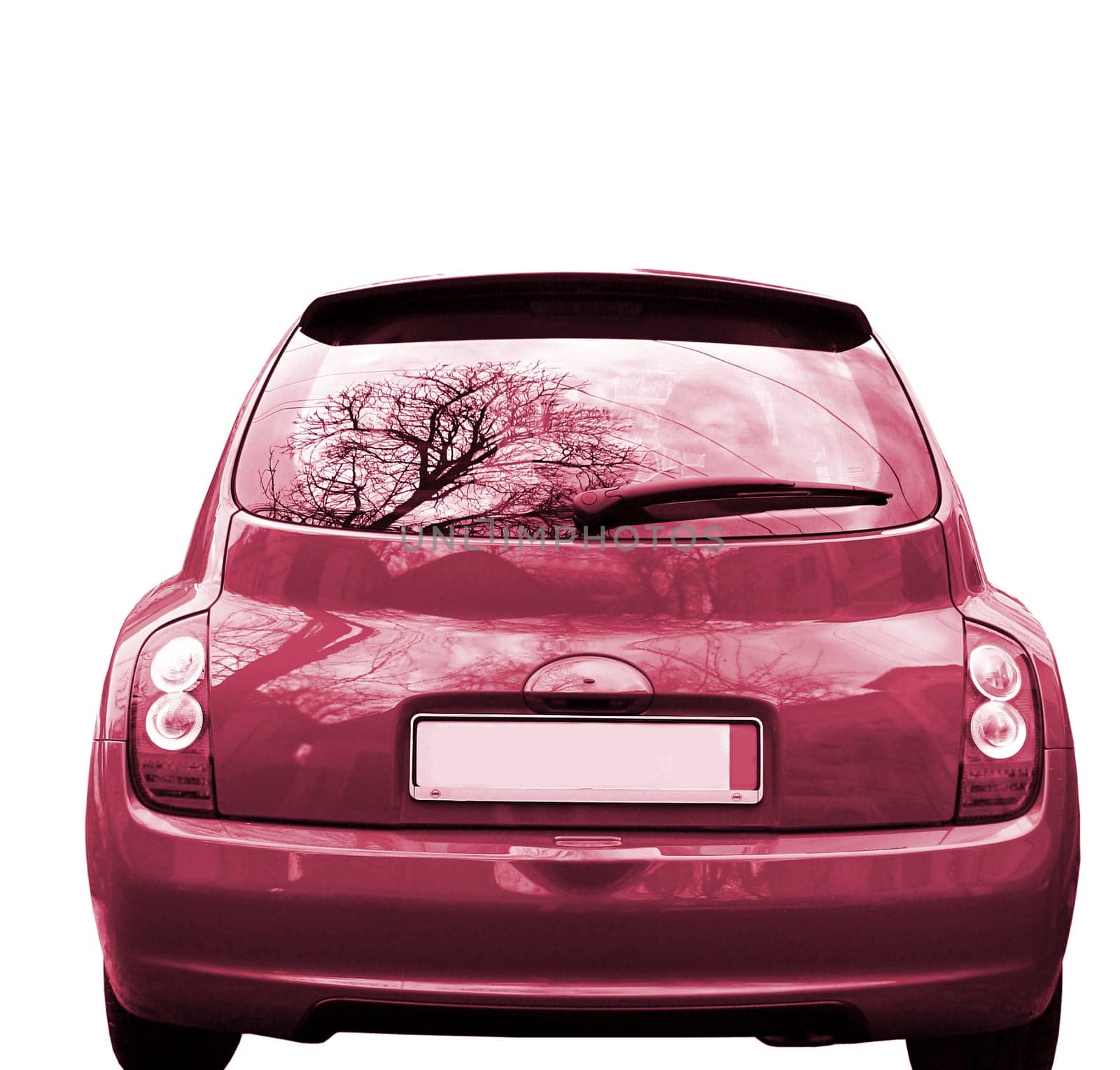 Great car isolated on white