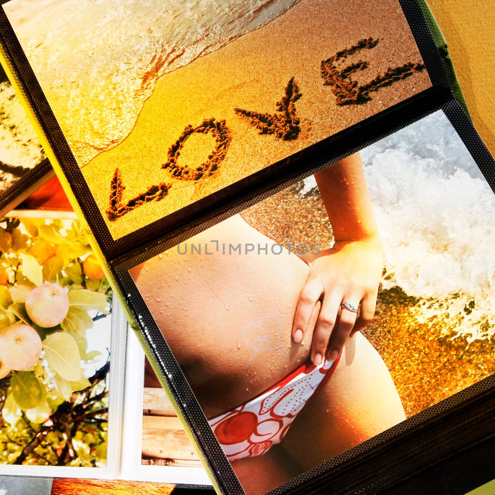 Close-up of opened photo album.