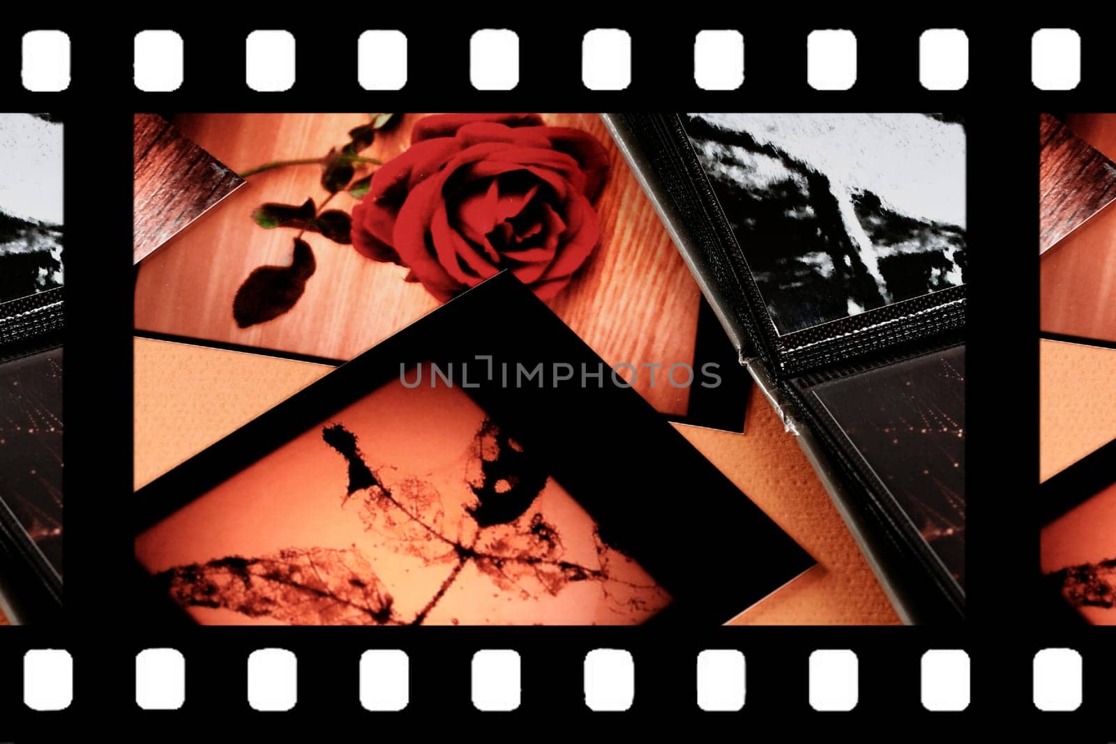 Photo Album with copy space. Great details!