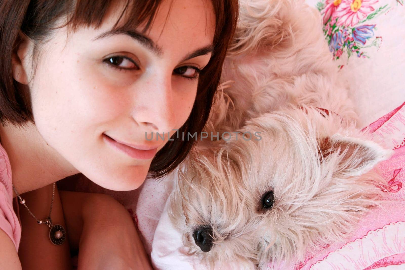 Westie sleeping next to woman in bed .