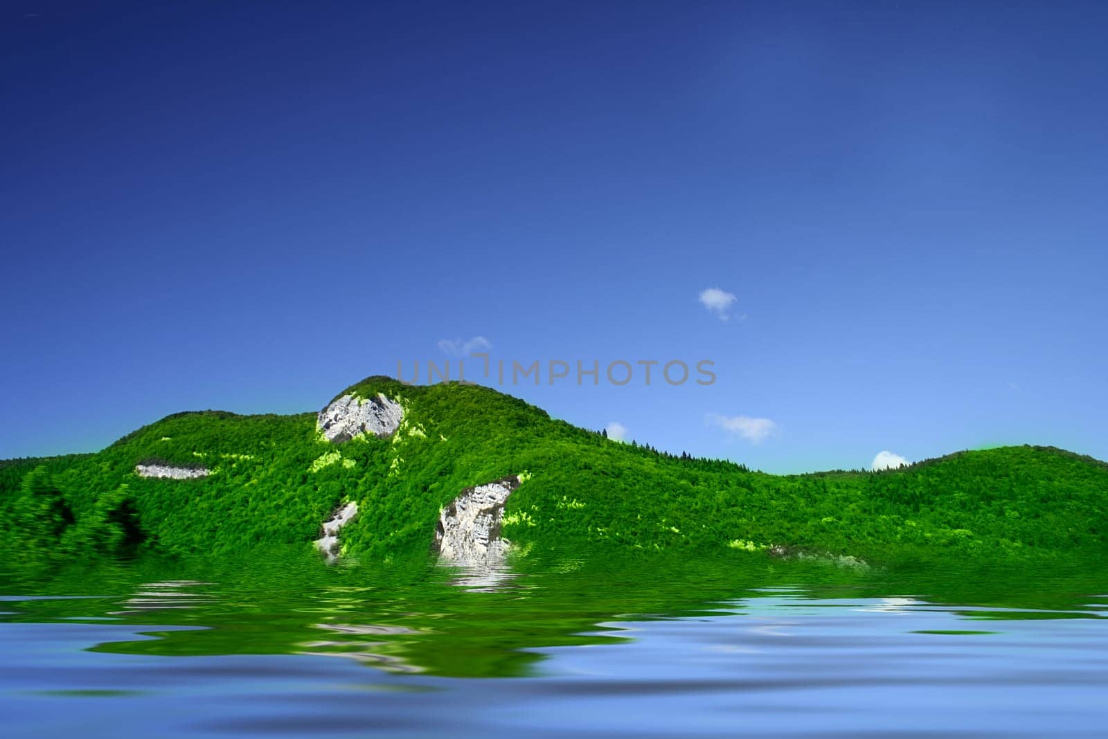 Green forest landscape near water