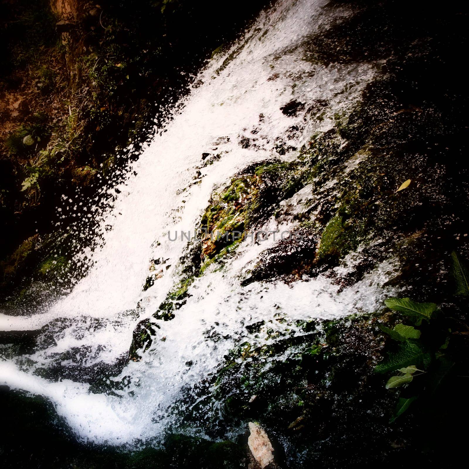 Little waterfall in the woods.