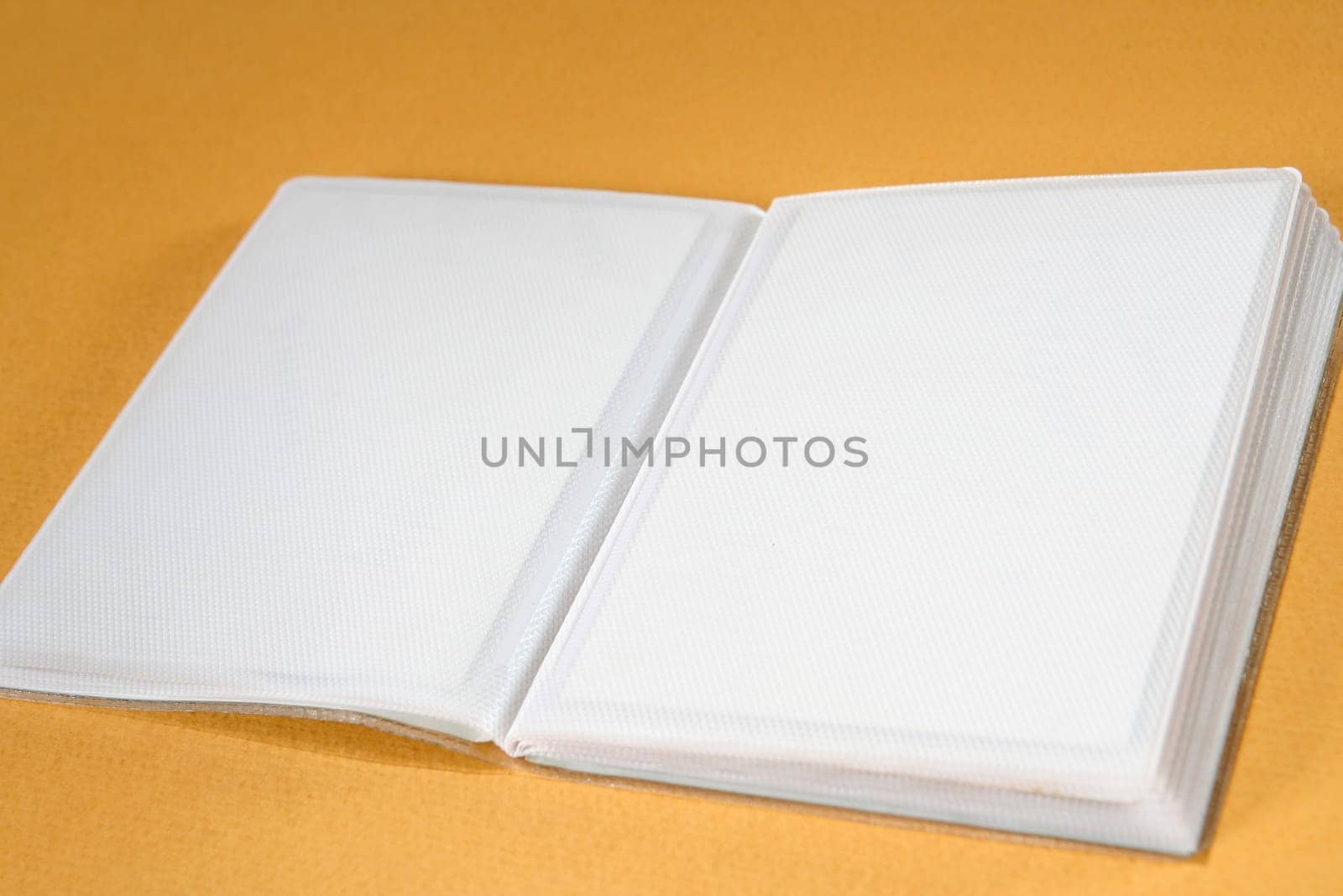 Photo Album with copy space. Great details!