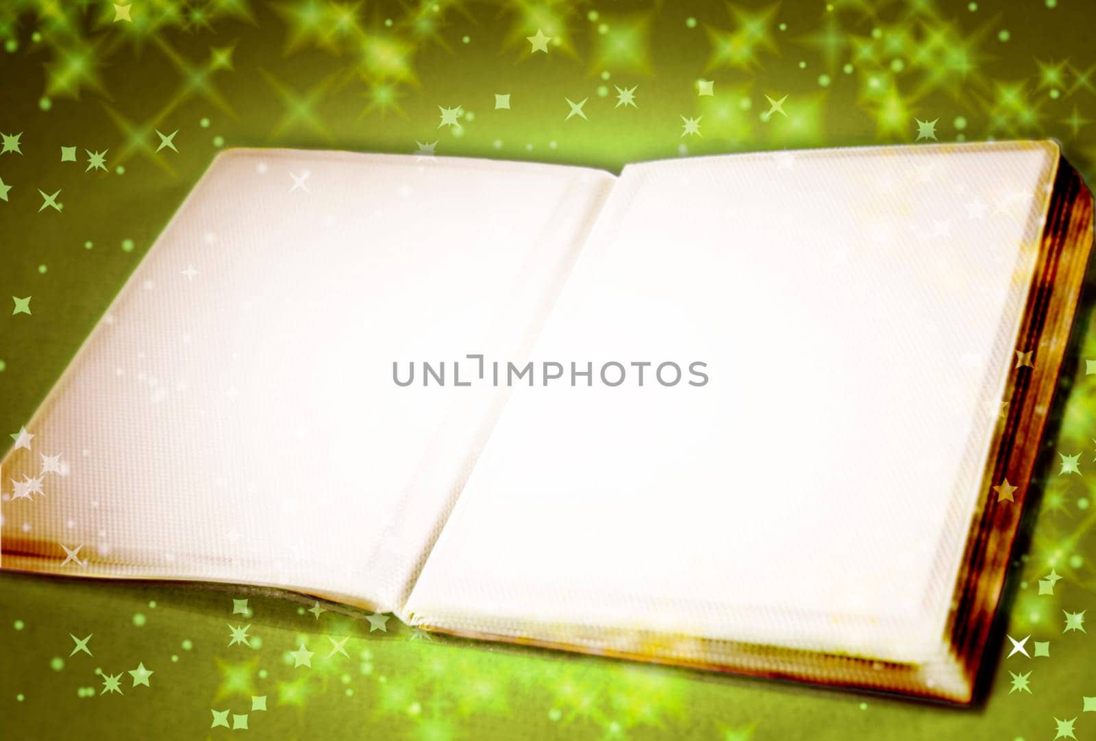 Photo Album with copy space. Great details!