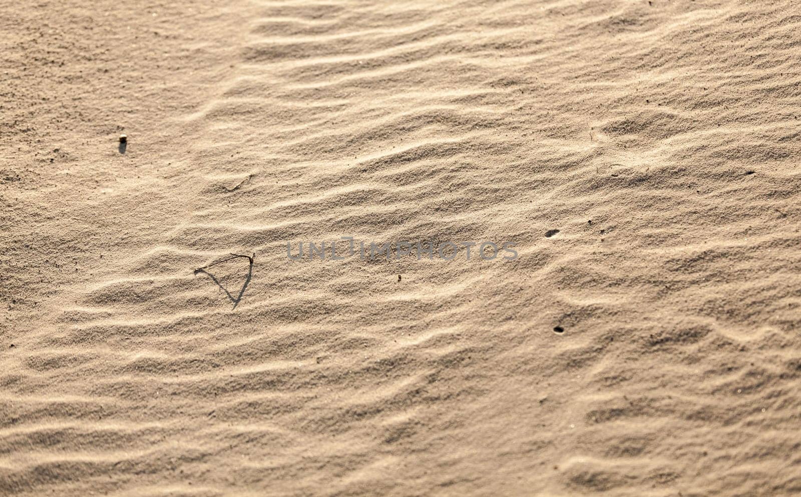 Closeup photo of sand dunes in desert
