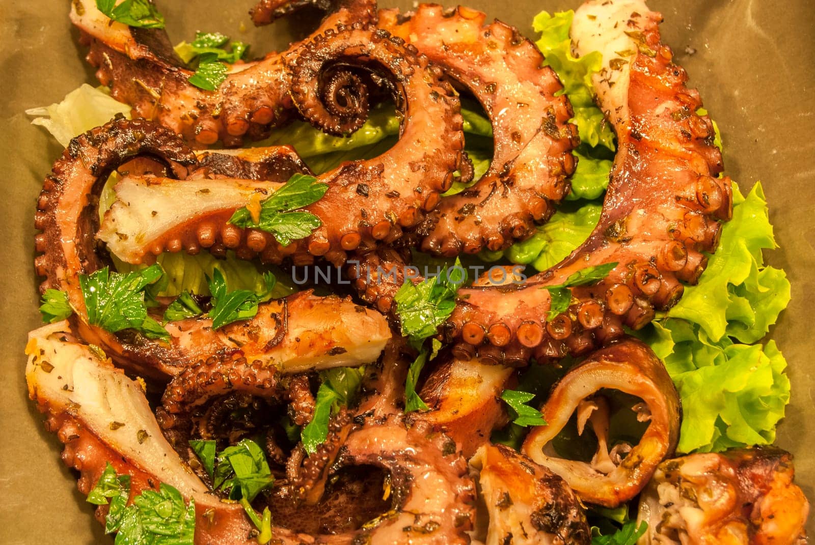 Fried octopus with olive oil and fresh salad