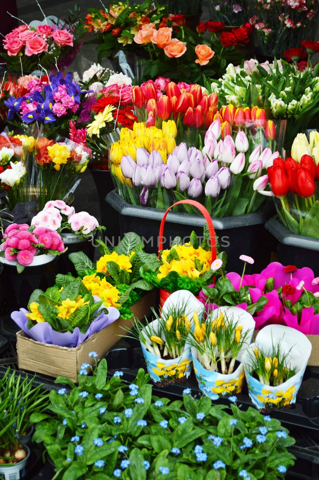 Street stall with variety of flowers