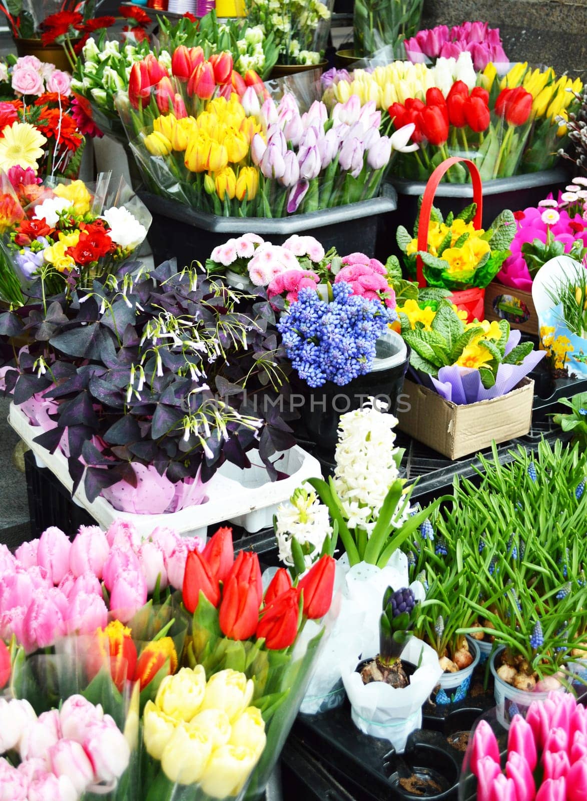 Street stall with variety of flowers