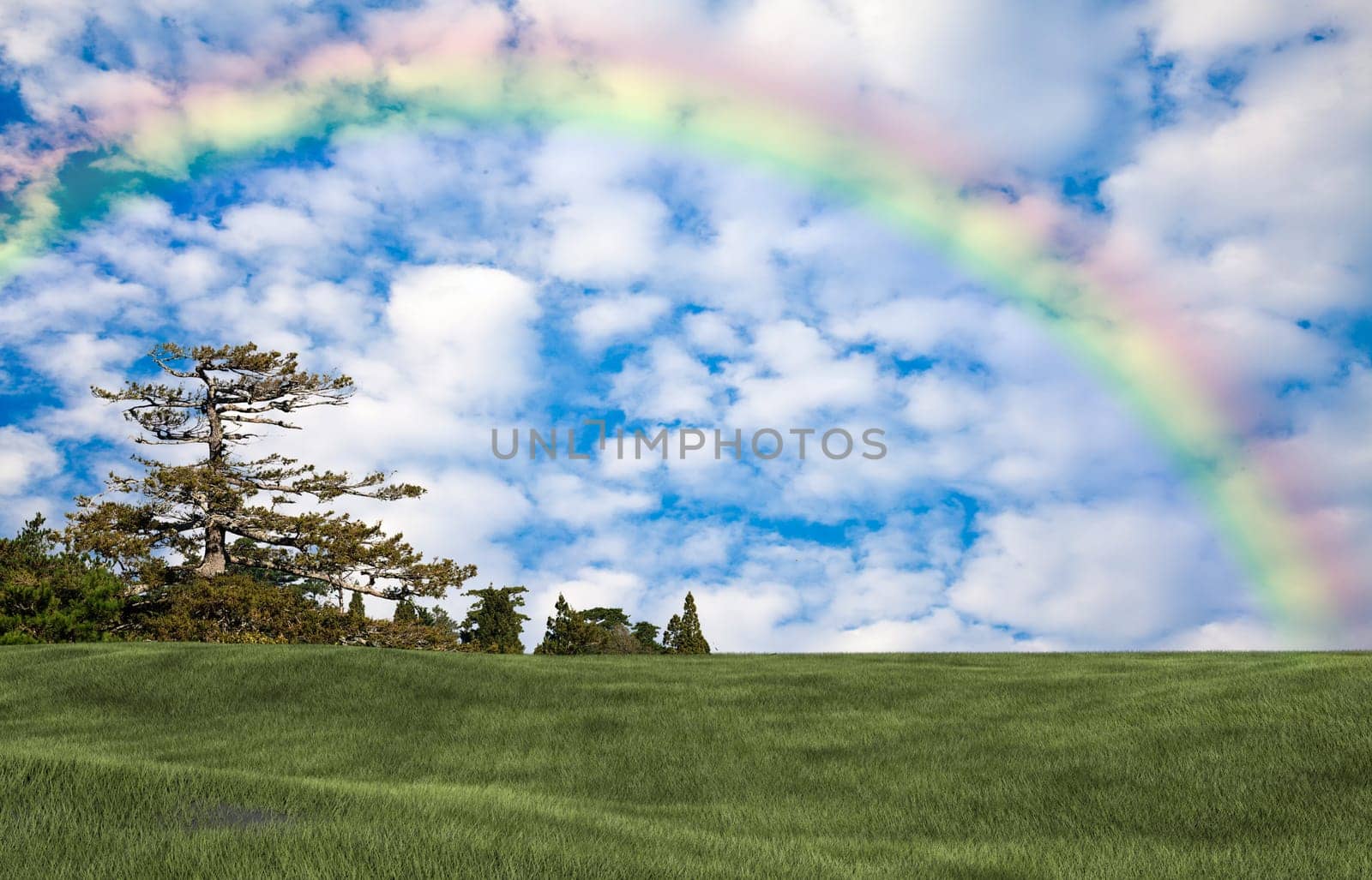 Background image of lush grass field