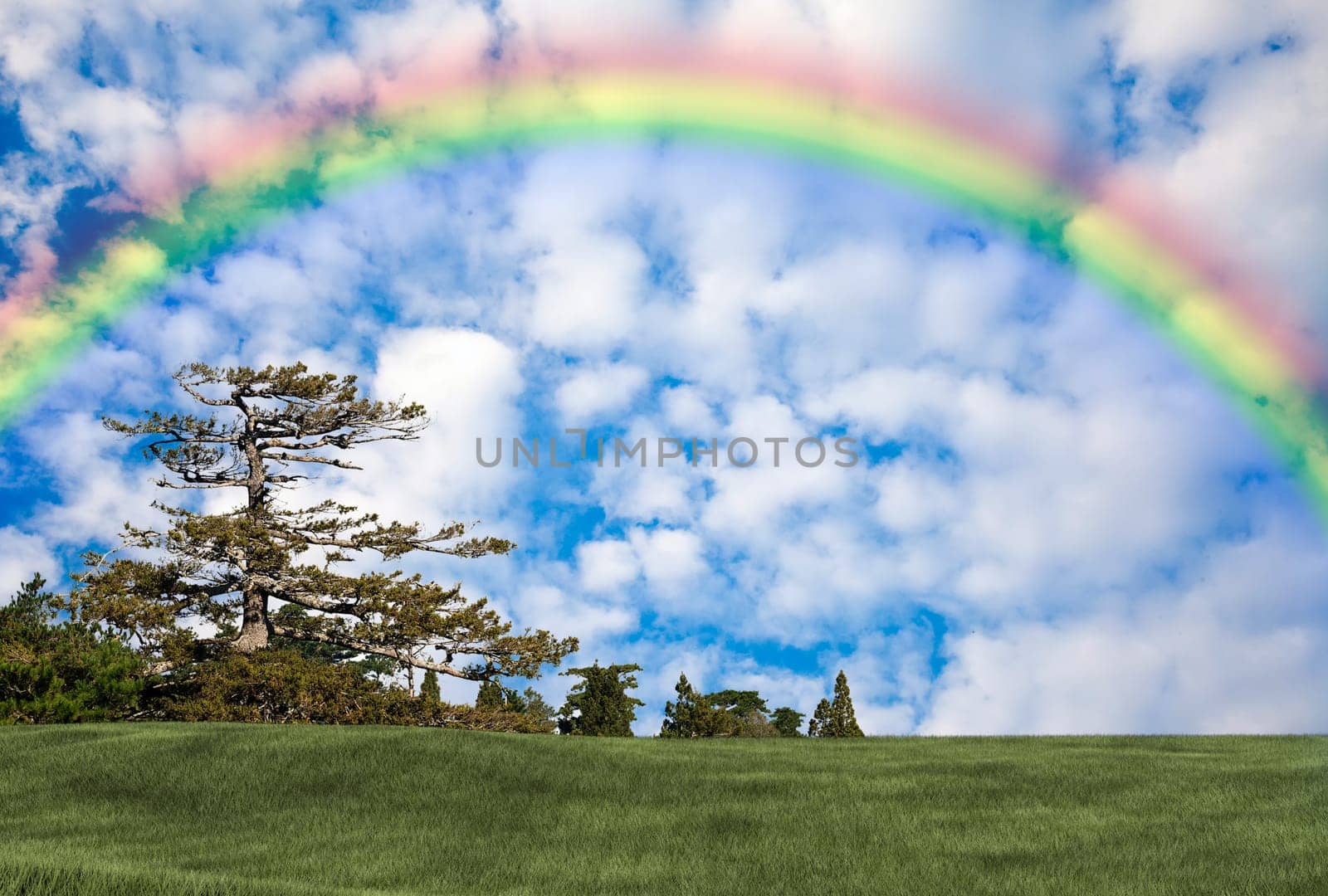 Background image of lush grass field