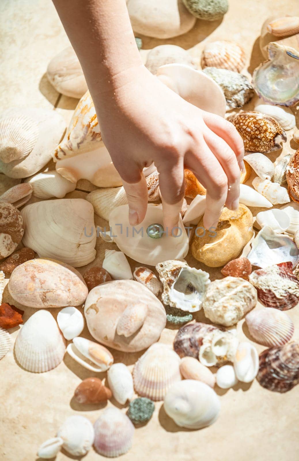 Closeup shot of hand picking black pearl from sea bottom