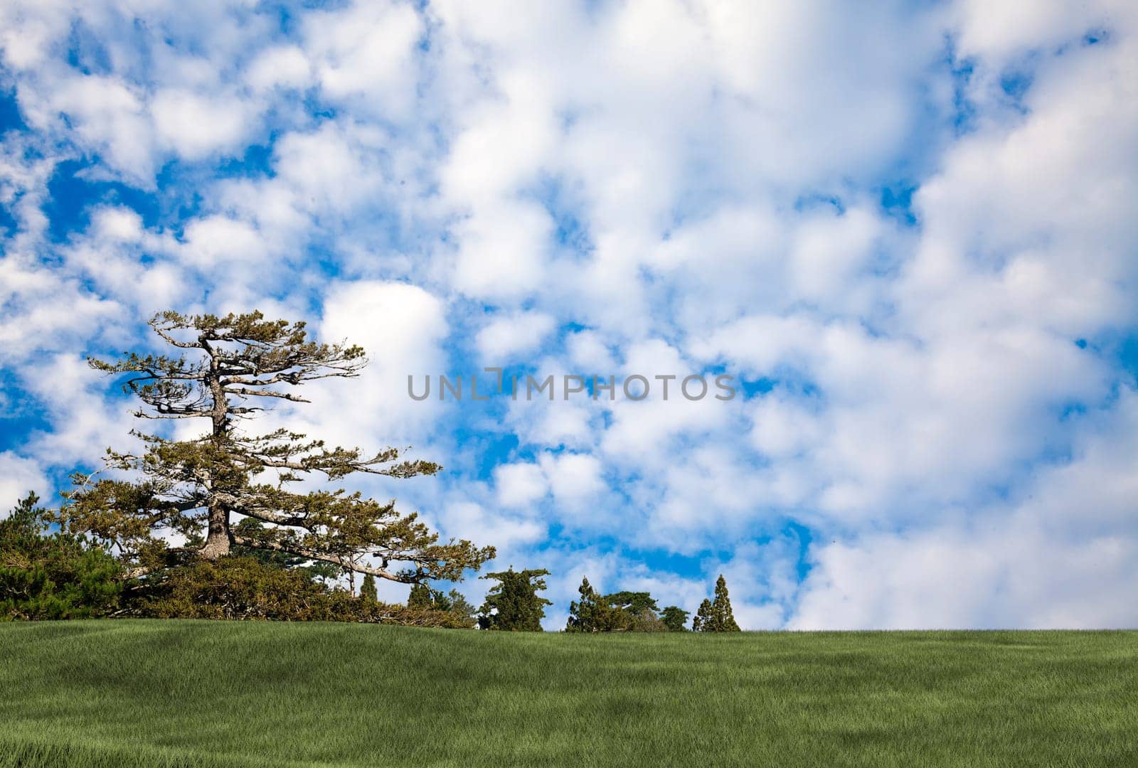 Background image of lush grass field