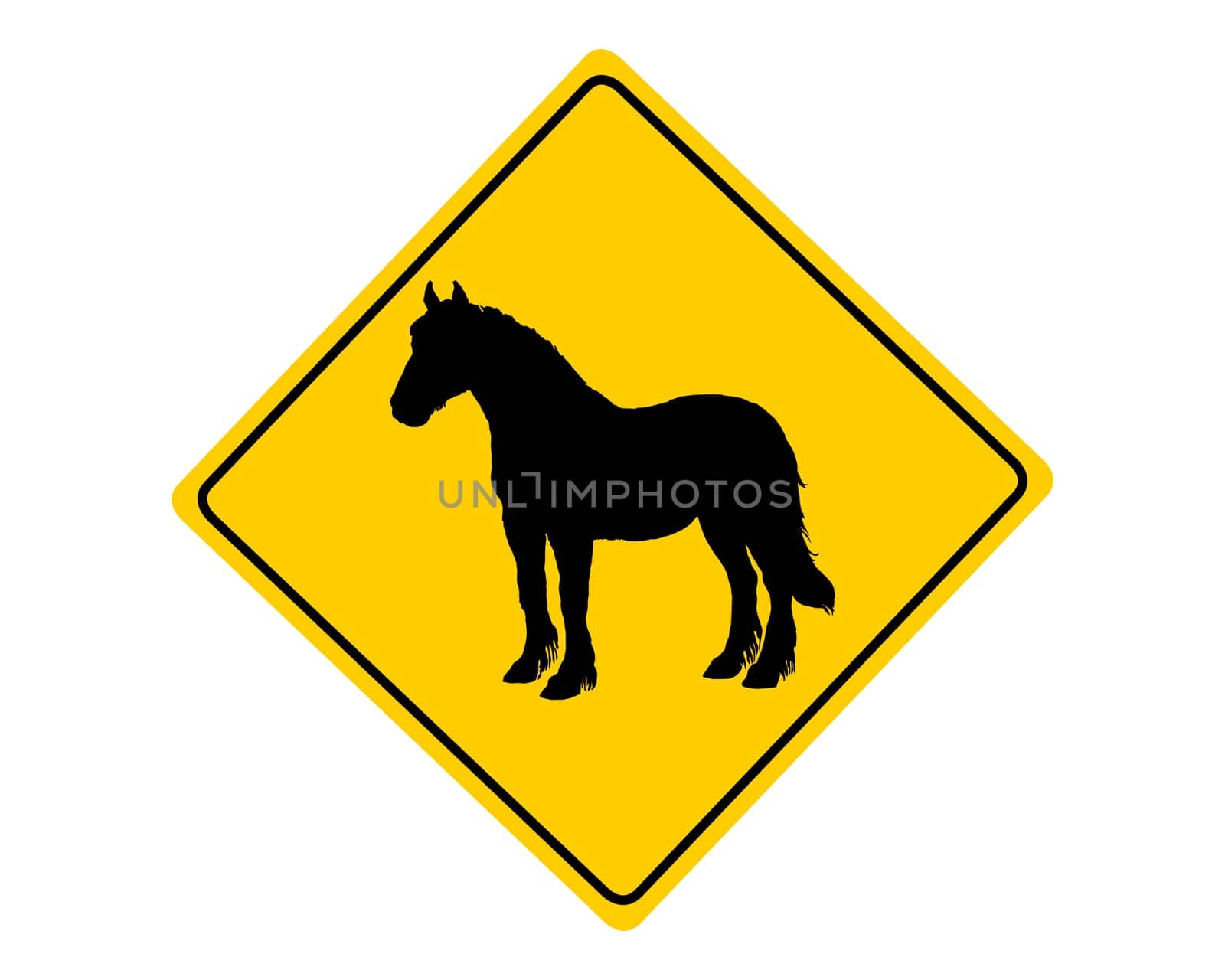 Attention horse