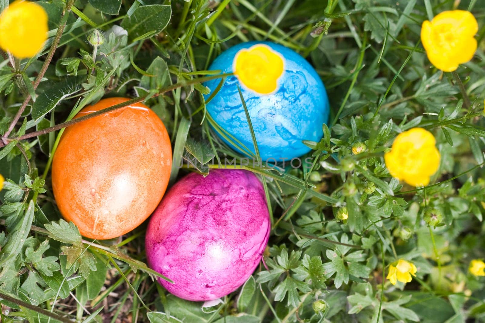 Easter impressions
