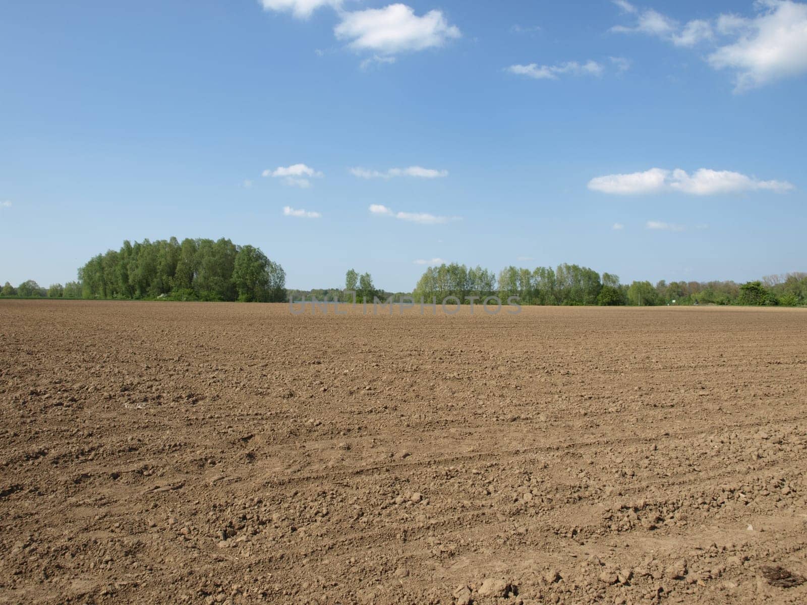 Plowed field