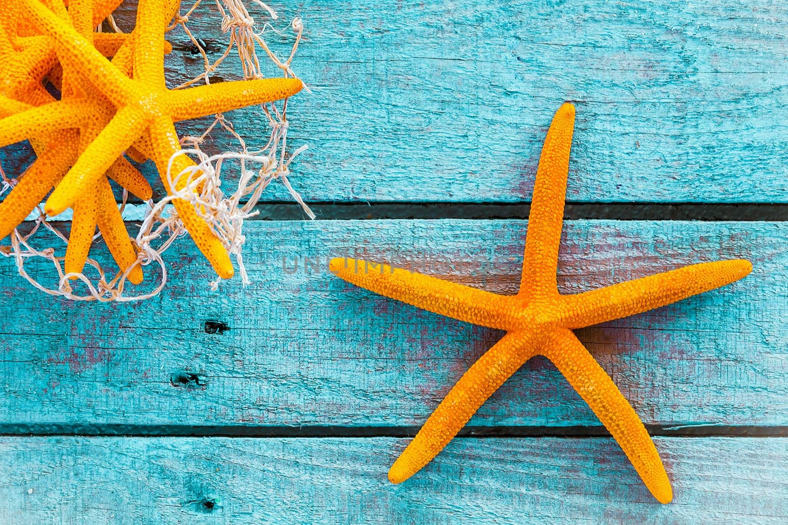 Collection of orange starfish on turquoise blue wooden boards with fishing net for a colourful nautical or marine background with copyspace